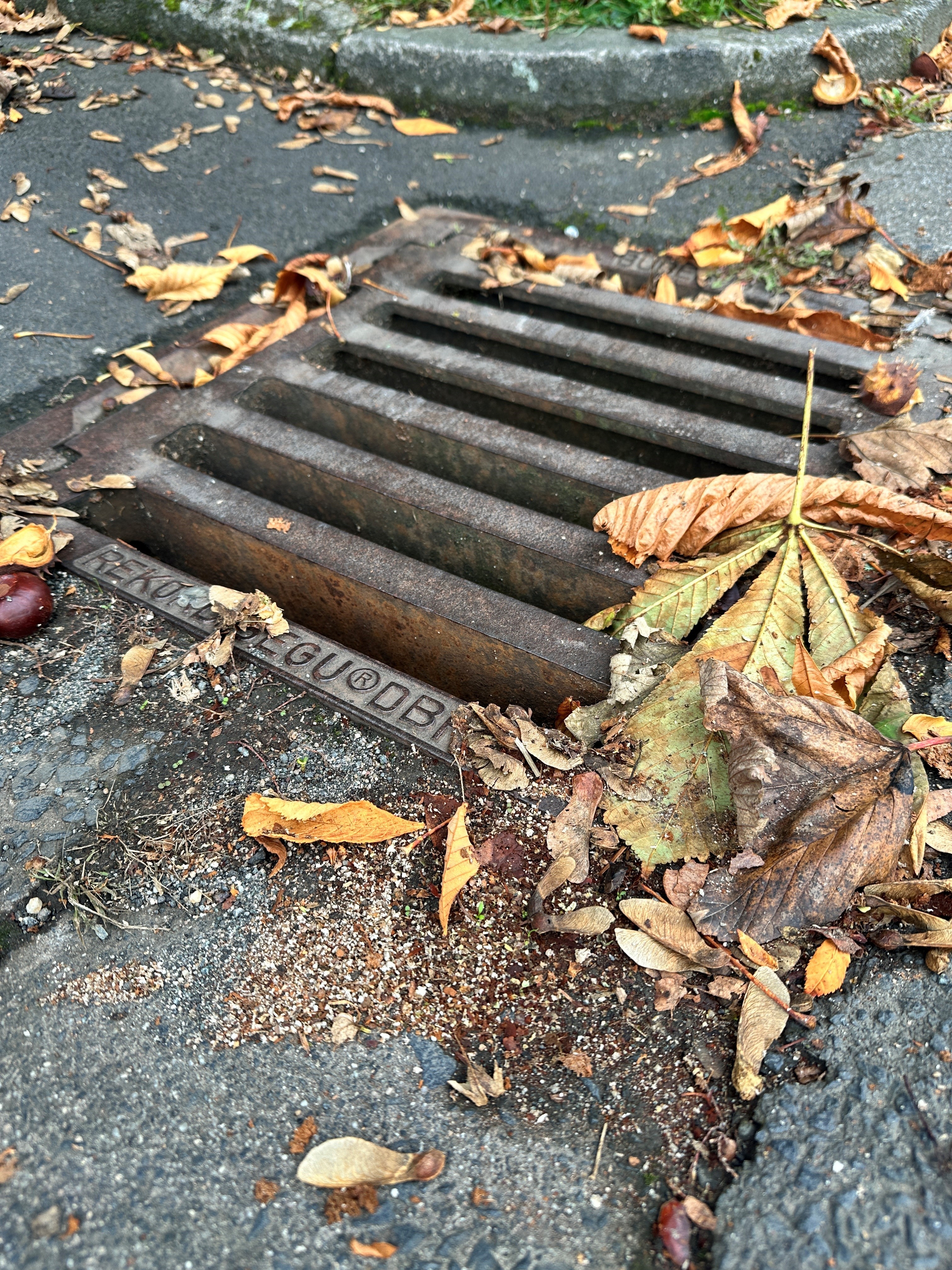 Sinkkasten mit Herbstlaub