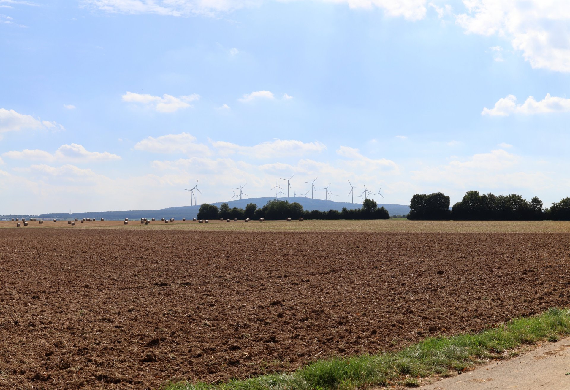 Windrad auf einem Feld