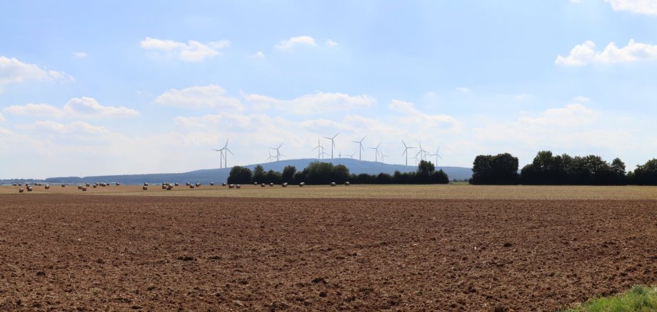 Windrad auf einem Feld
